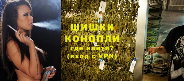 сатива Верхний Тагил