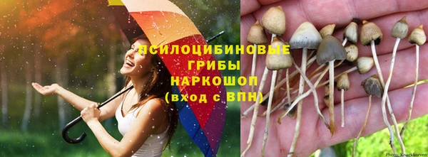 mdpv Волосово